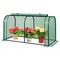 PE Metal Mini Tunnel Greenhouse with Roll-Up Door and Windproof Stakes